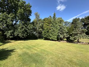 Photo 7- click for photo gallery